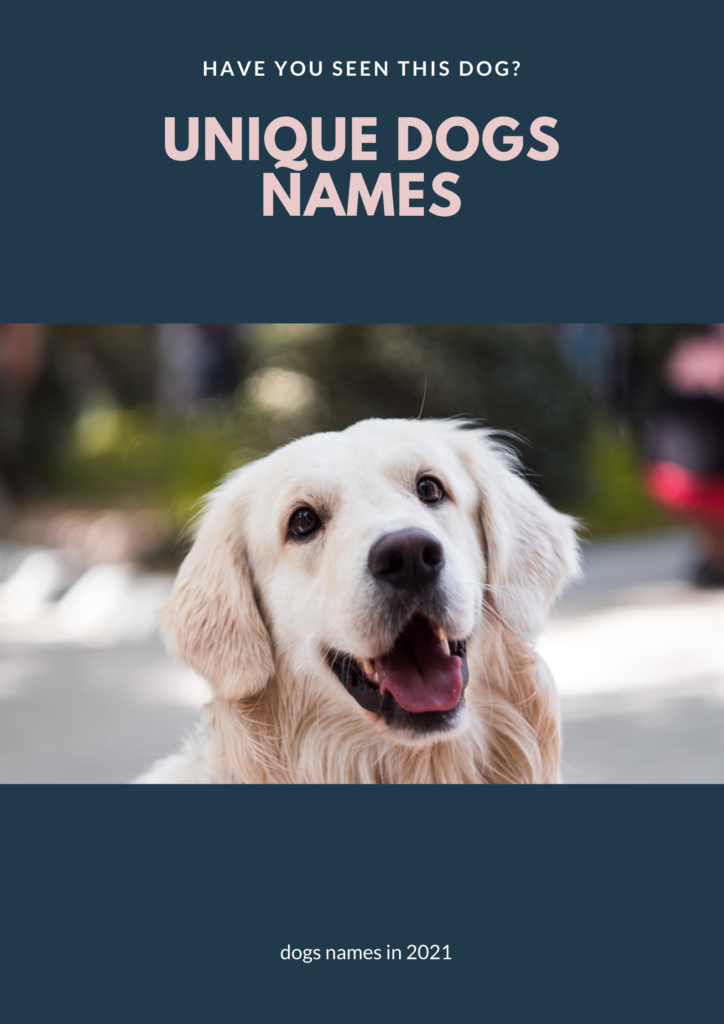 Most popular dog names in 2021 | unique dog names - Petsynse