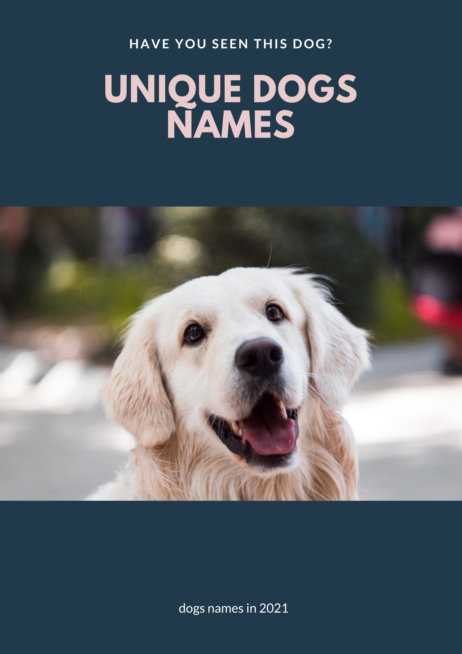 unique dogs names