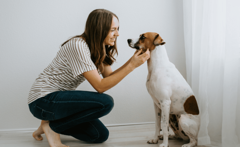 average-dog-sitting-rates-how-to-find-a-reliable-pet-sitter-petsynse